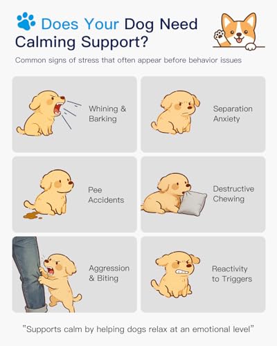 Accecraft Dog Calming Pheromone Diffuser Kit