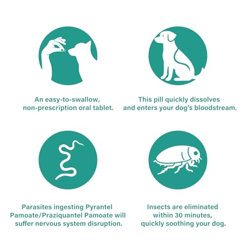VivaElixir De-Wormer For Dogs