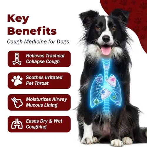 NutraLeonis Kennel Cough Treatment