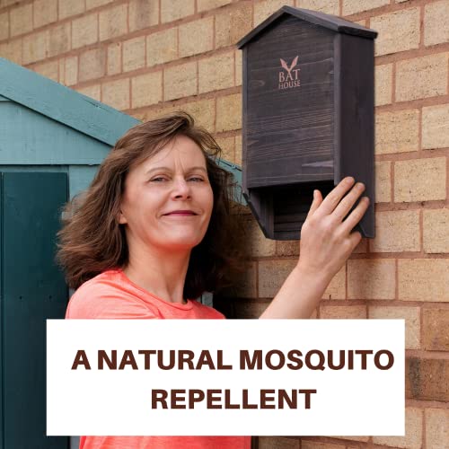 Bat House Bat Box Double Chamber Outdoor House